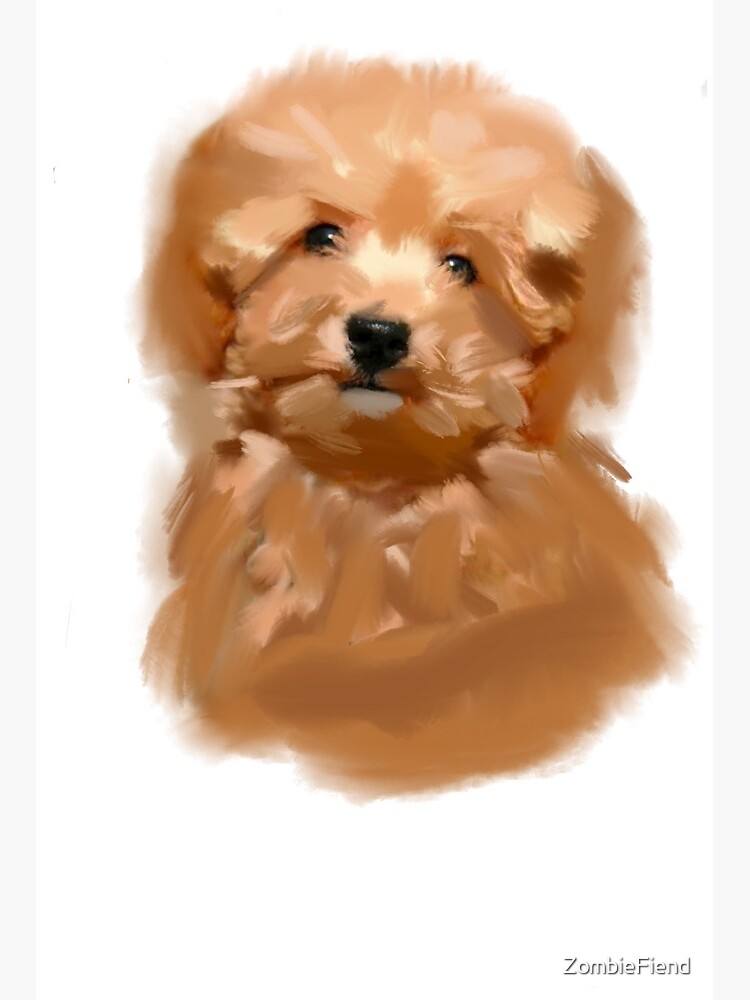 Toy Poodle Gorgeous Mini Dog Teddy | Art Board Print