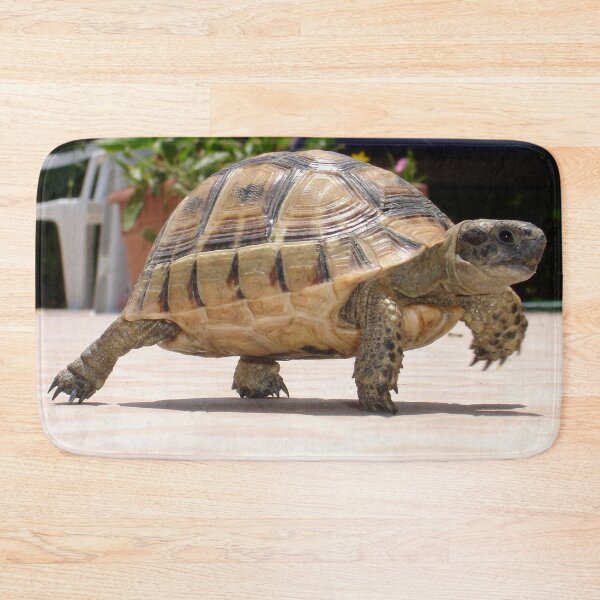 Item preview, Marching Baby Tortoise Close Up Photo designed and sold by taiche.