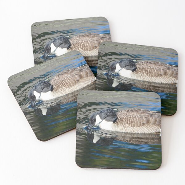 Item preview, Canadian Goose Reflecting in Calm Waters designed and sold by richardbryce.