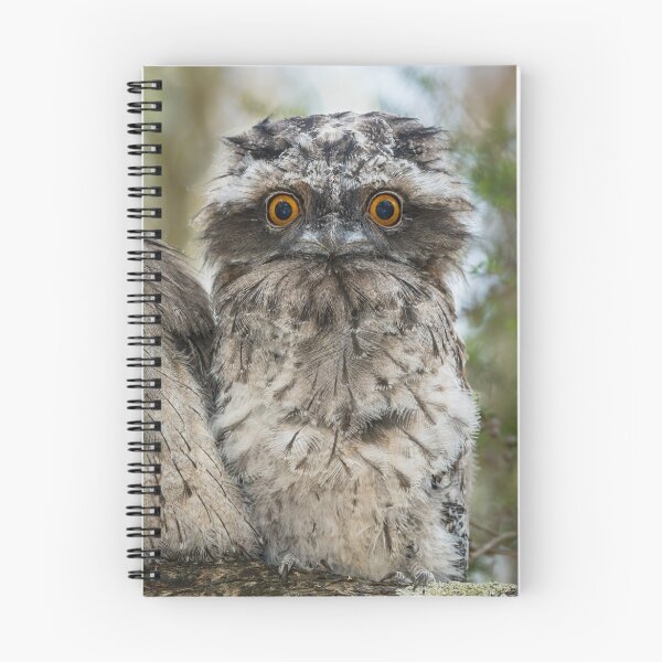 Item preview, Froglet. designed and sold by James Peake Nature Photography..