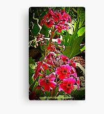 Flowers Canvas Print
