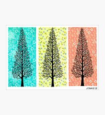 THREE TREES Photographic Print