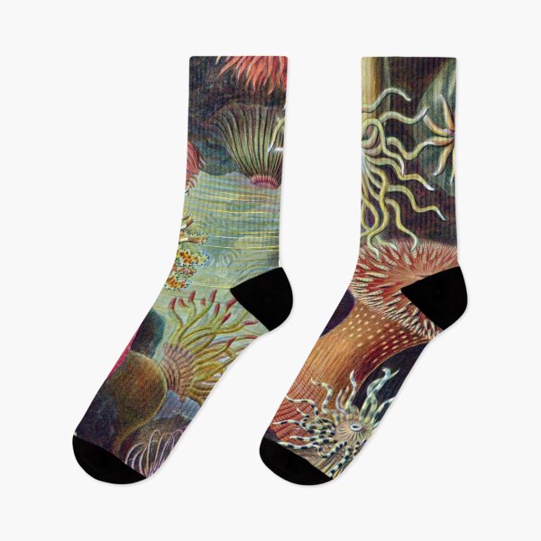 Item preview,  Under the Sea Too designed and sold by Salocin.