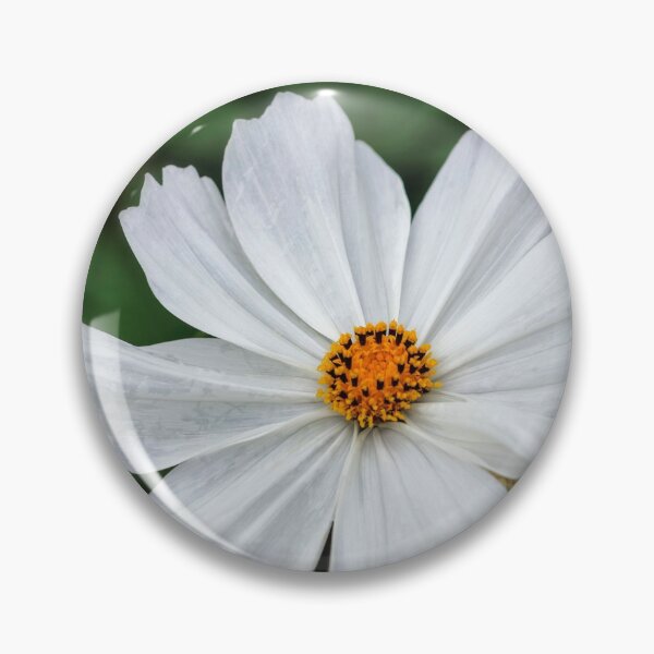 Item preview, White Cosmos. designed and sold by John Ray.