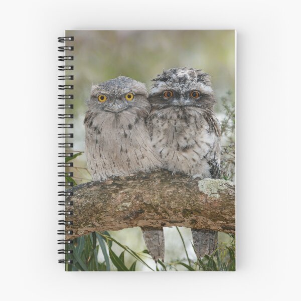 Item preview, Froggies. designed and sold by James Peake Nature Photography..