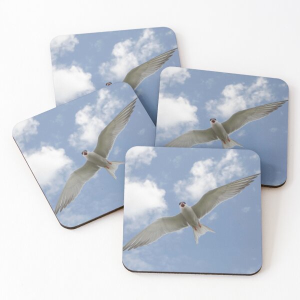 Item preview, Arctic Tern, Farne Islands designed and sold by Richard Greenwood.