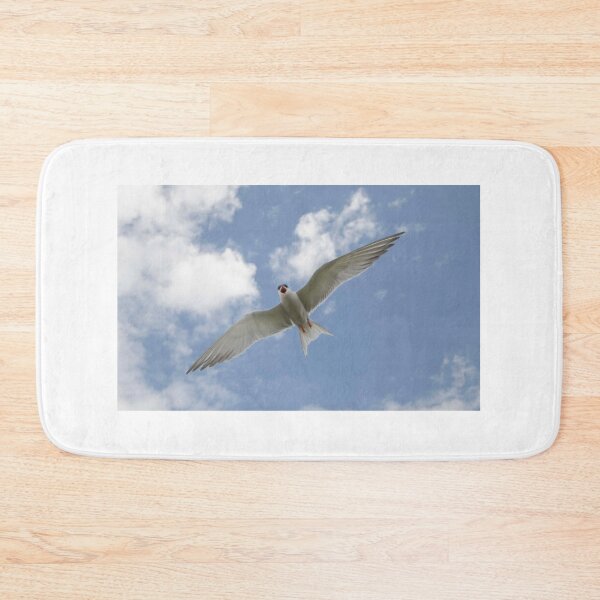 Item preview, Arctic Tern, Farne Islands designed and sold by Richard Greenwood.