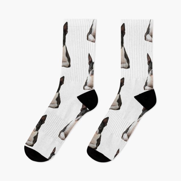 Item preview, Funny Boston Terrior designed and sold by MagicBoutique.