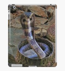 ✍ ✎ COBRA IPAD CASE ✍ ✎ iPad Case/Skin
