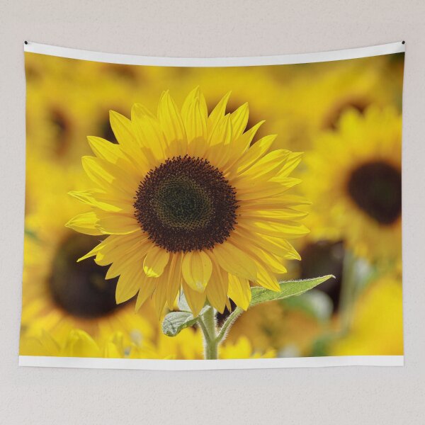 Item preview, Study on Sunflowers designed and sold by Cars with Character.