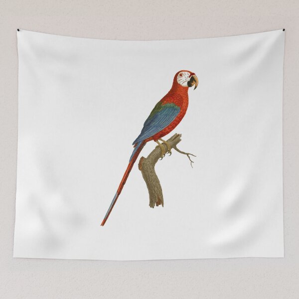 Item preview, Scarlet macao designed and sold by Photopicture.