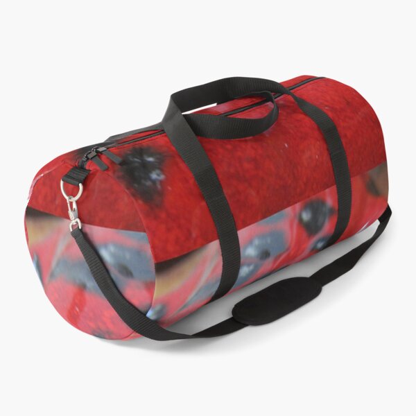 Item preview, Red shiny giant ladybird  designed and sold by StephanieCAD.