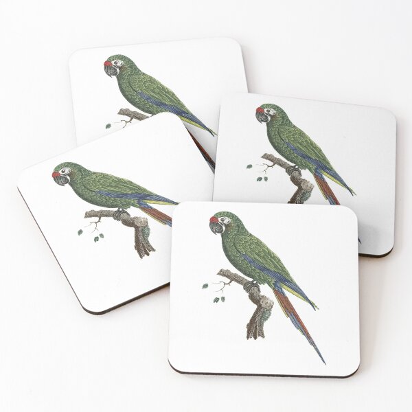 Item preview, Military macaw designed and sold by Photopicture.
