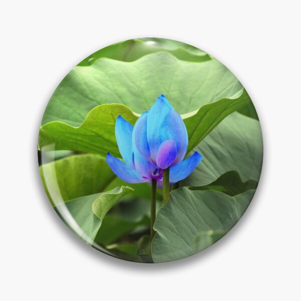 Item preview, Green foliage with a blue flower. redecorate, refurbish, Bird, nature designed and sold by jayne0524.