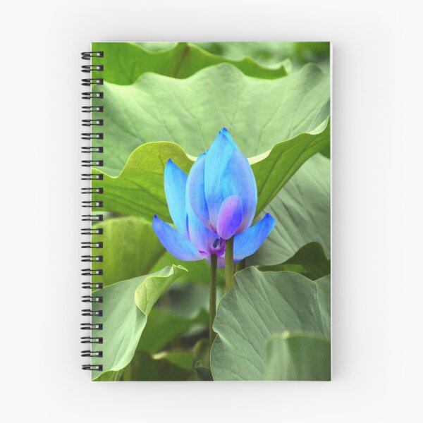 Artikelvorschau, Grünes Laub mit einer blauen Blume. Neu dekorieren, renovieren, Vogel, Natur entworfen und verkauft von jayne0524.