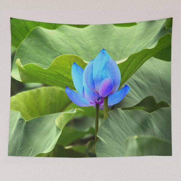 Item preview, Green foliage with a blue flower. redecorate, refurbish, Bird, nature designed and sold by jayne0524.