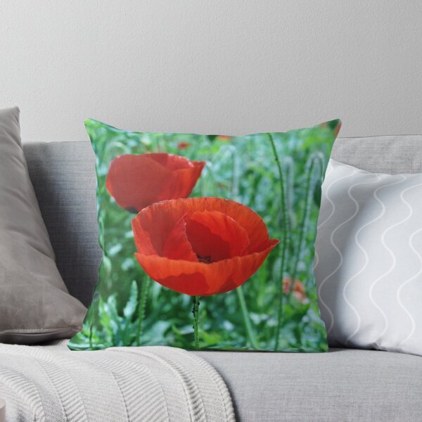 Aperçu de l'œuvre Popping Poppies créée et vendue par Debjaphotography.
