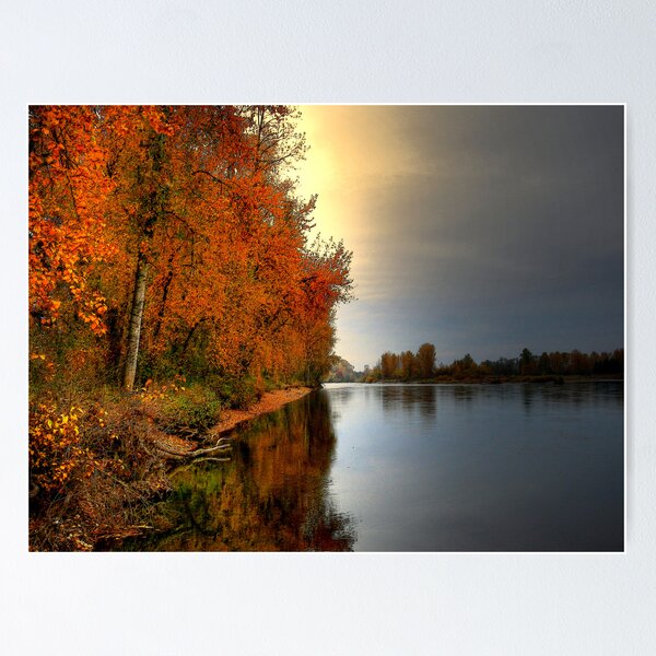 Item preview, In The Grove designed and sold by Charles & Patricia   Harkins ~ Picture Oregon.
