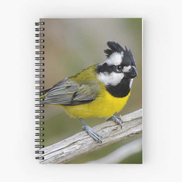Item preview, Mr Cresty. designed and sold by James Peake Nature Photography..