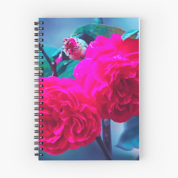 Item preview, Bright Pink Roses , Two Sunshine Roses designed and sold by MoStorish.
