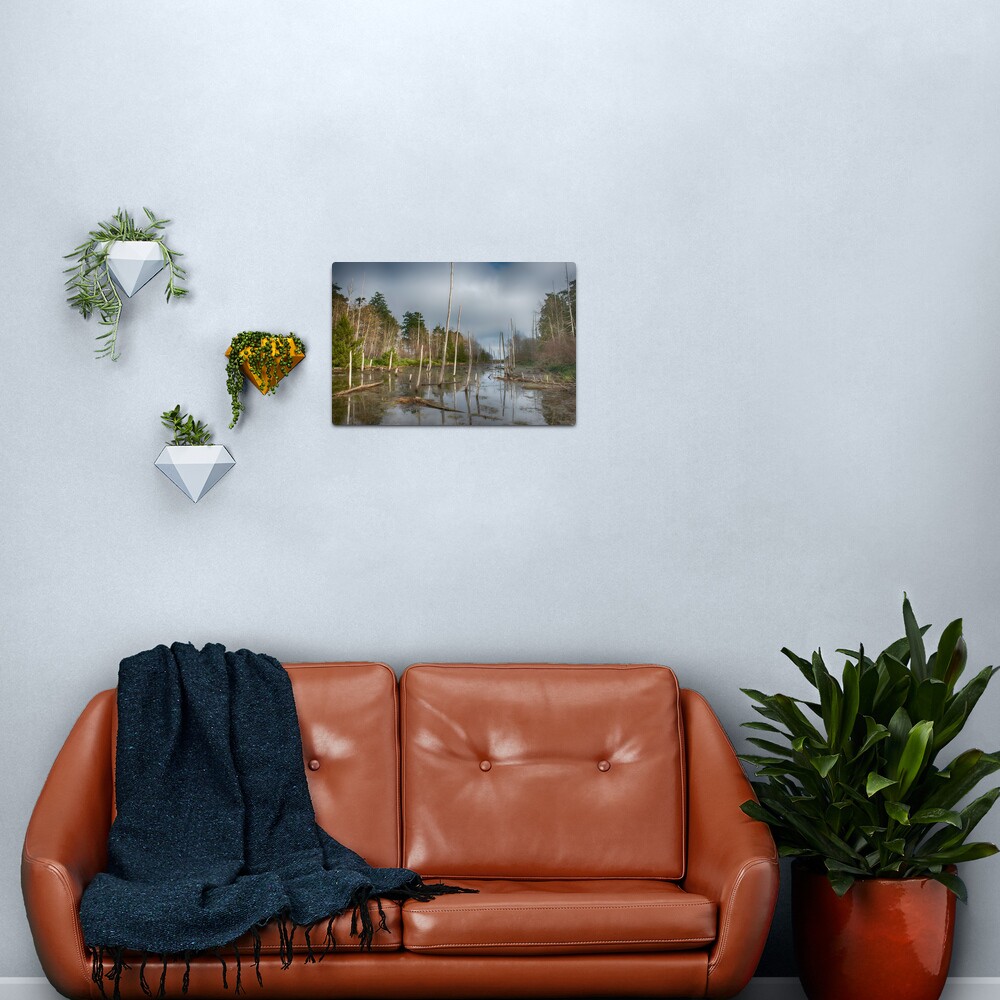 The Swamp on Cabbage Island Metal Print