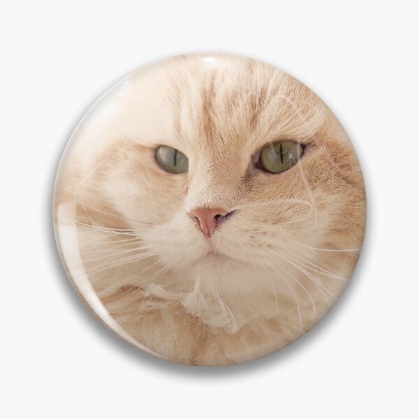 Item preview, Siberian cat on his loved cat tree designed and sold by Pino 'Delfino' Esposito.