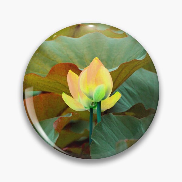 Item preview, Green foliage with a Yellow flower. redecorate, refurbish, Bird, nature designed and sold by jayne0524.