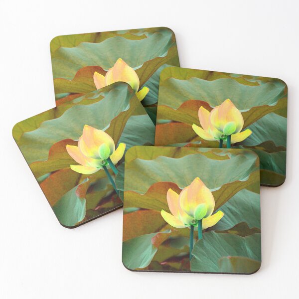 Item preview, Green foliage with a Yellow flower. redecorate, refurbish, Bird, nature designed and sold by jayne0524.