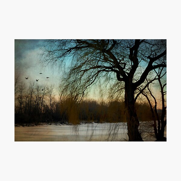Nature's season © Photographic Print