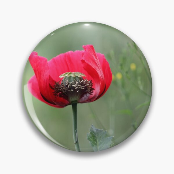 Item preview, The Beauty Inside designed and sold by cuprum.