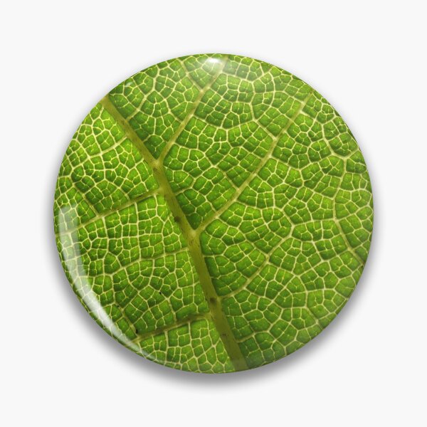 Item preview, Leaf Streets designed and sold by C Rose.