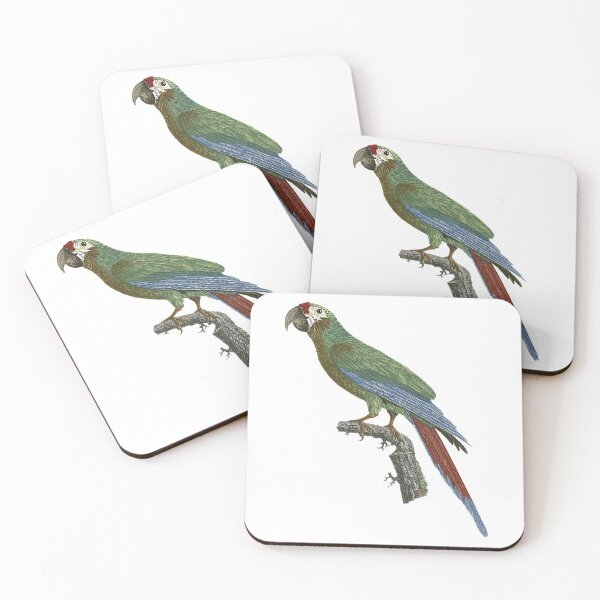 Item preview, Great Military macaw designed and sold by Photopicture.