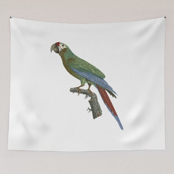 Item preview, Great Military macaw designed and sold by Photopicture.