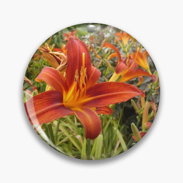 Item preview, Fire Lily designed and sold by C Rose.