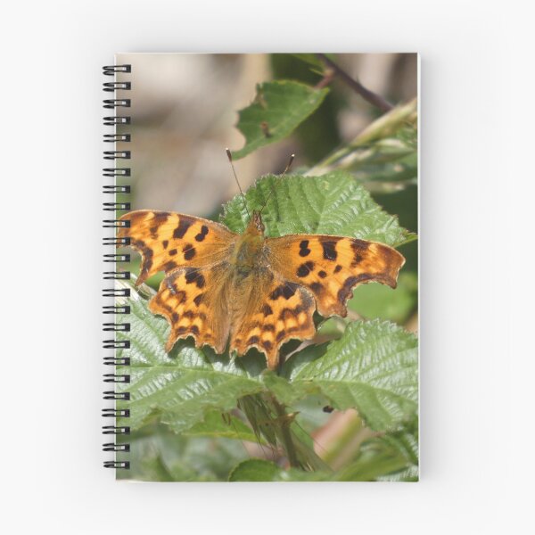Item preview, Comma Butterfly designed and sold by C Rose.