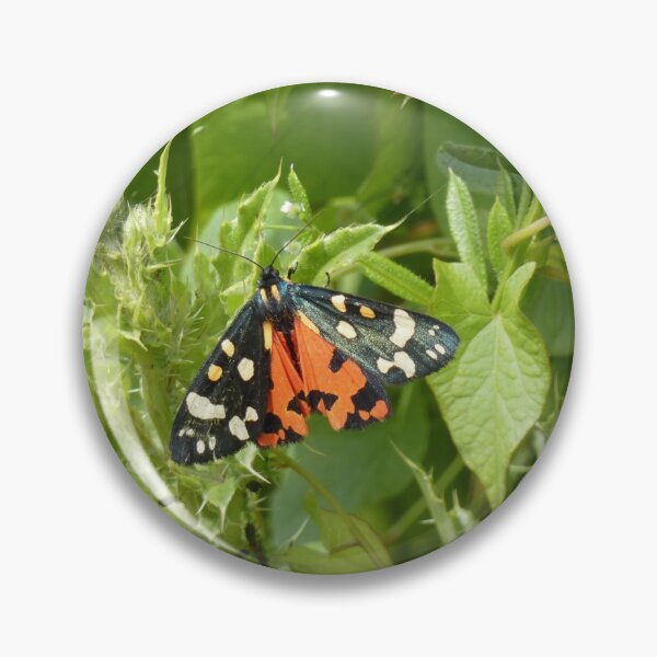 Item preview, Scarlet Tiger Moth  designed and sold by C Rose.