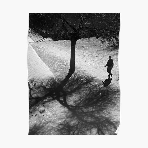 Walking Through The Shadows of Winter .. Poster