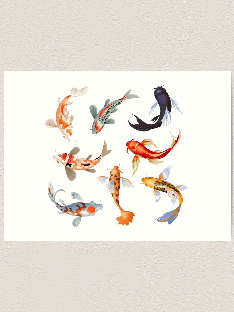 Japanese pattern multi-colored fish scales koi Vector Image