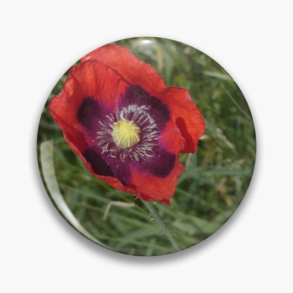 Item preview, Coast Path Breadseed Poppy designed and sold by C Rose.