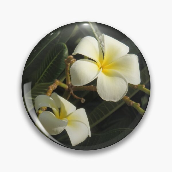 Item preview, Frangipani designed and sold by C Rose.