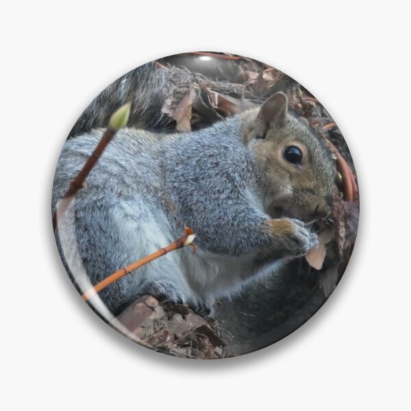 Item preview, Cheeky Squirrel designed and sold by C Rose.