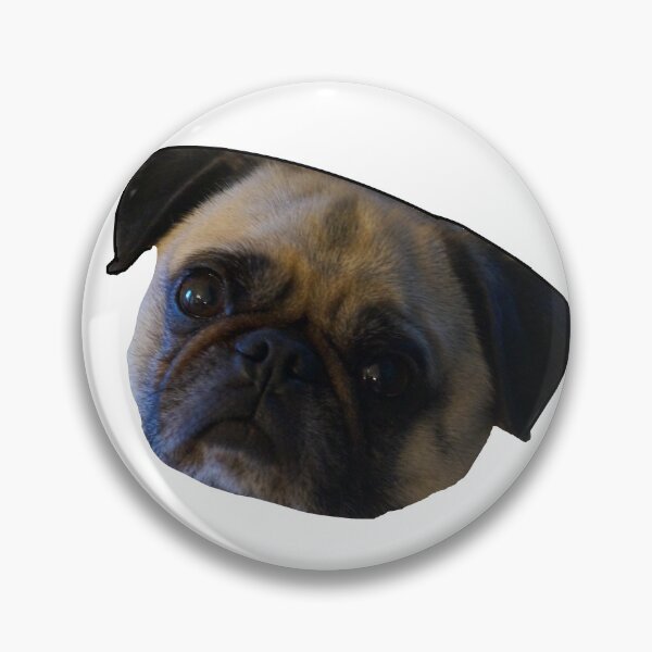 Item preview, Pug Head Tilt designed and sold by ashleymanheim.
