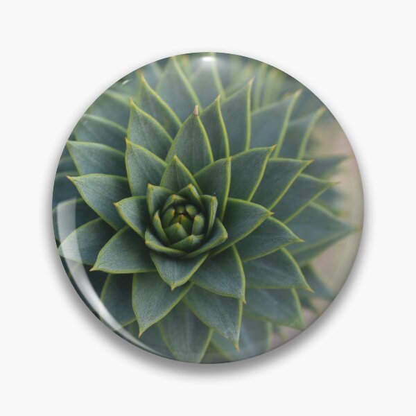 Aperçu de l'œuvre succulent créée et vendue par Reion.