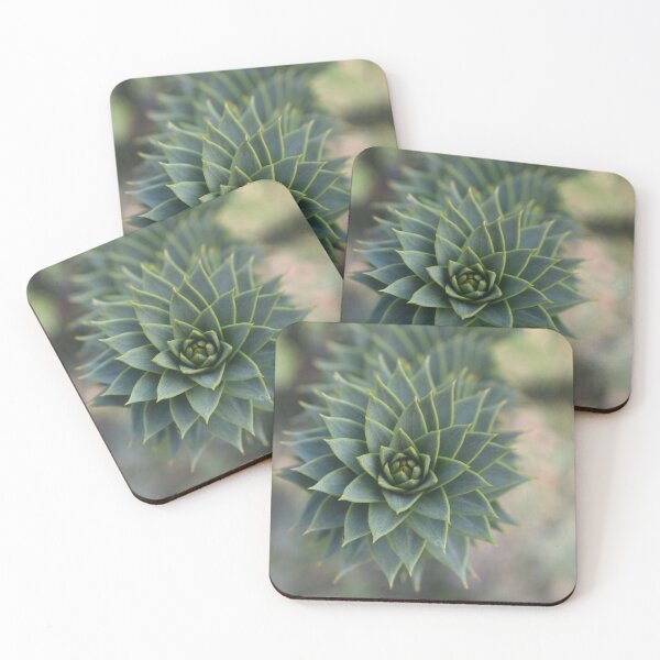 Item preview, succulent  designed and sold by Reion.