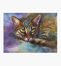 Vibrant Watercolor Bengal cat painting by Svetlana Novikova Photographic Print
