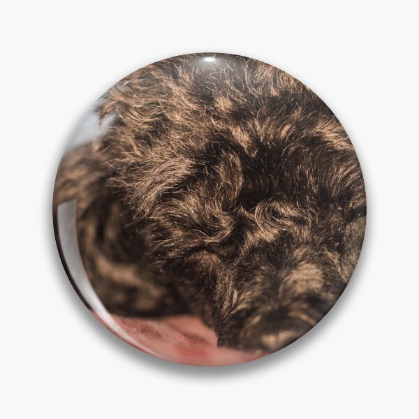 Item preview, who's a good girl designed and sold by KensLensDesigns.