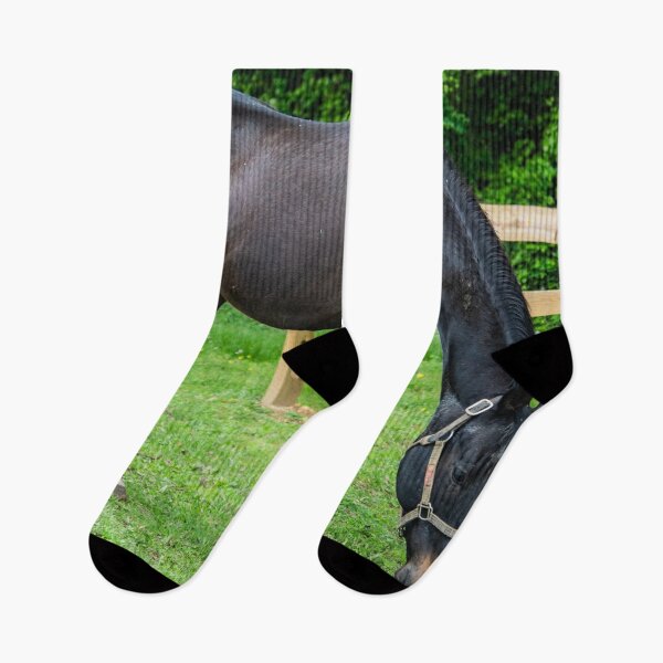 Item preview, Sam the best  horse designed and sold by KensLensDesigns.
