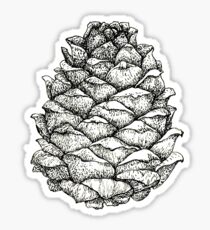 Kiefernkegel Sticker