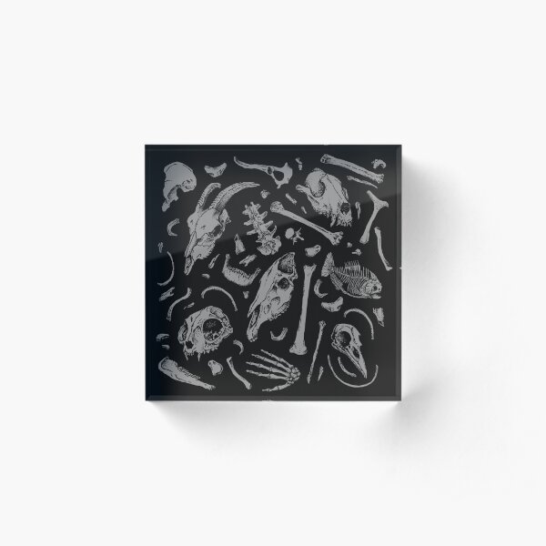 Bones Acrylic Block