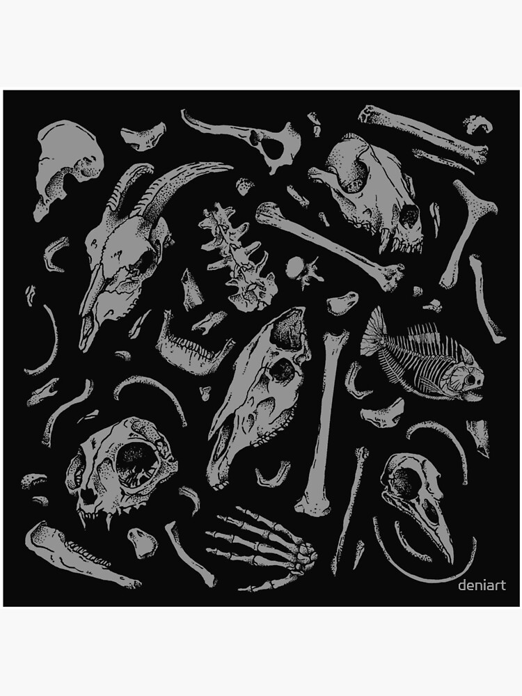 Bones by deniart